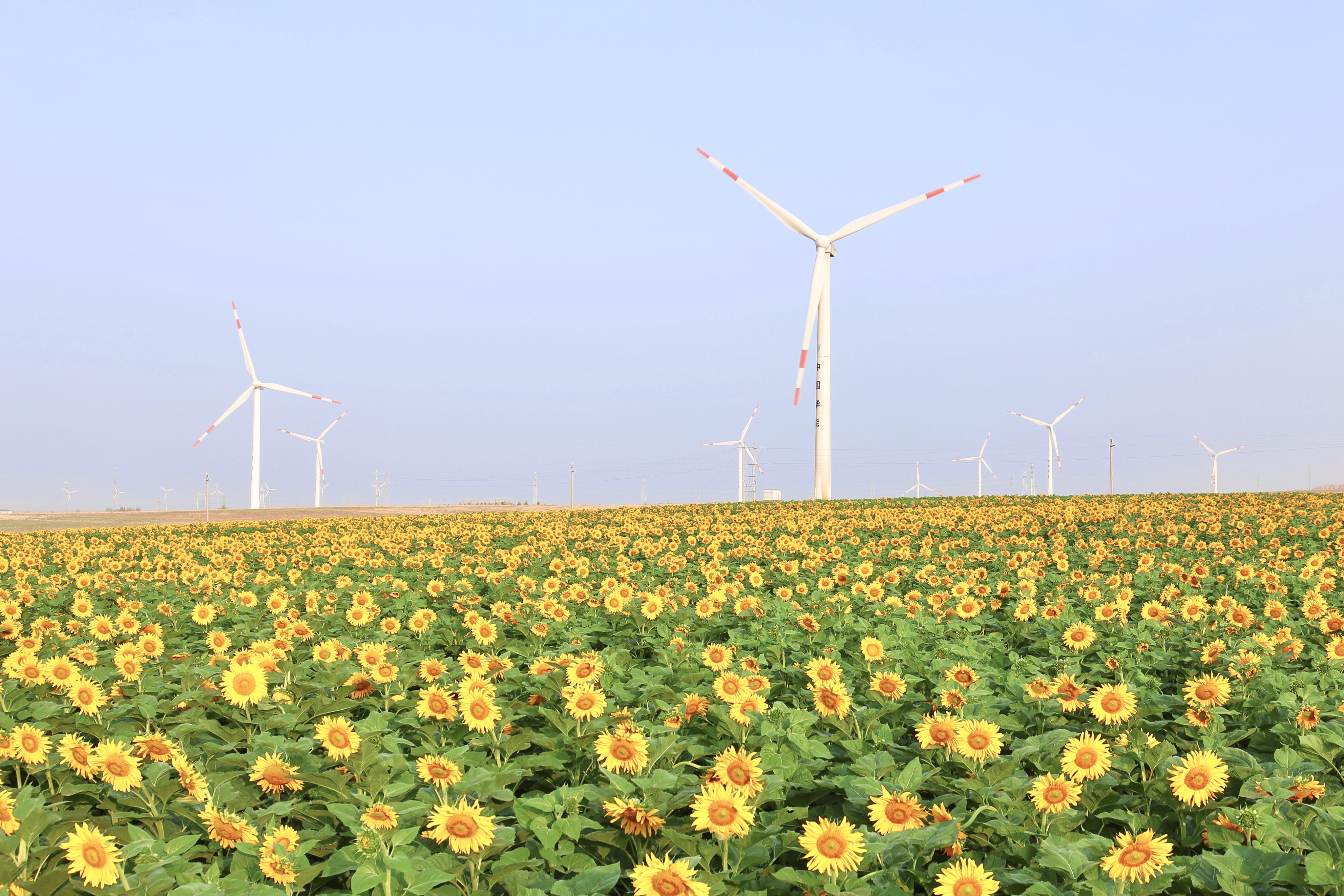 7790必发集团股份助力推动风电场节造技术国际研发项目顺利执行