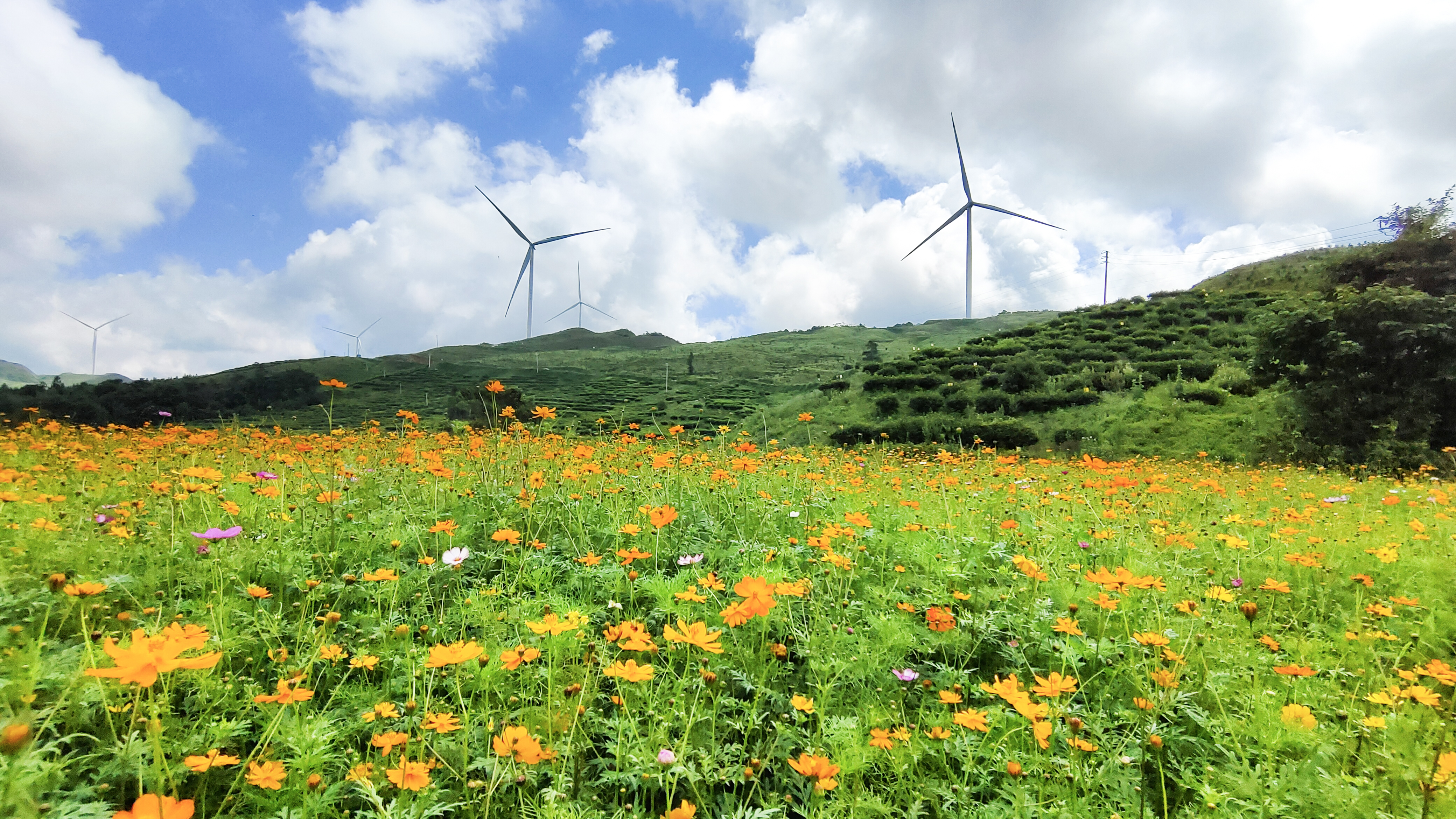 7790必发集团(中国)有限公司官网