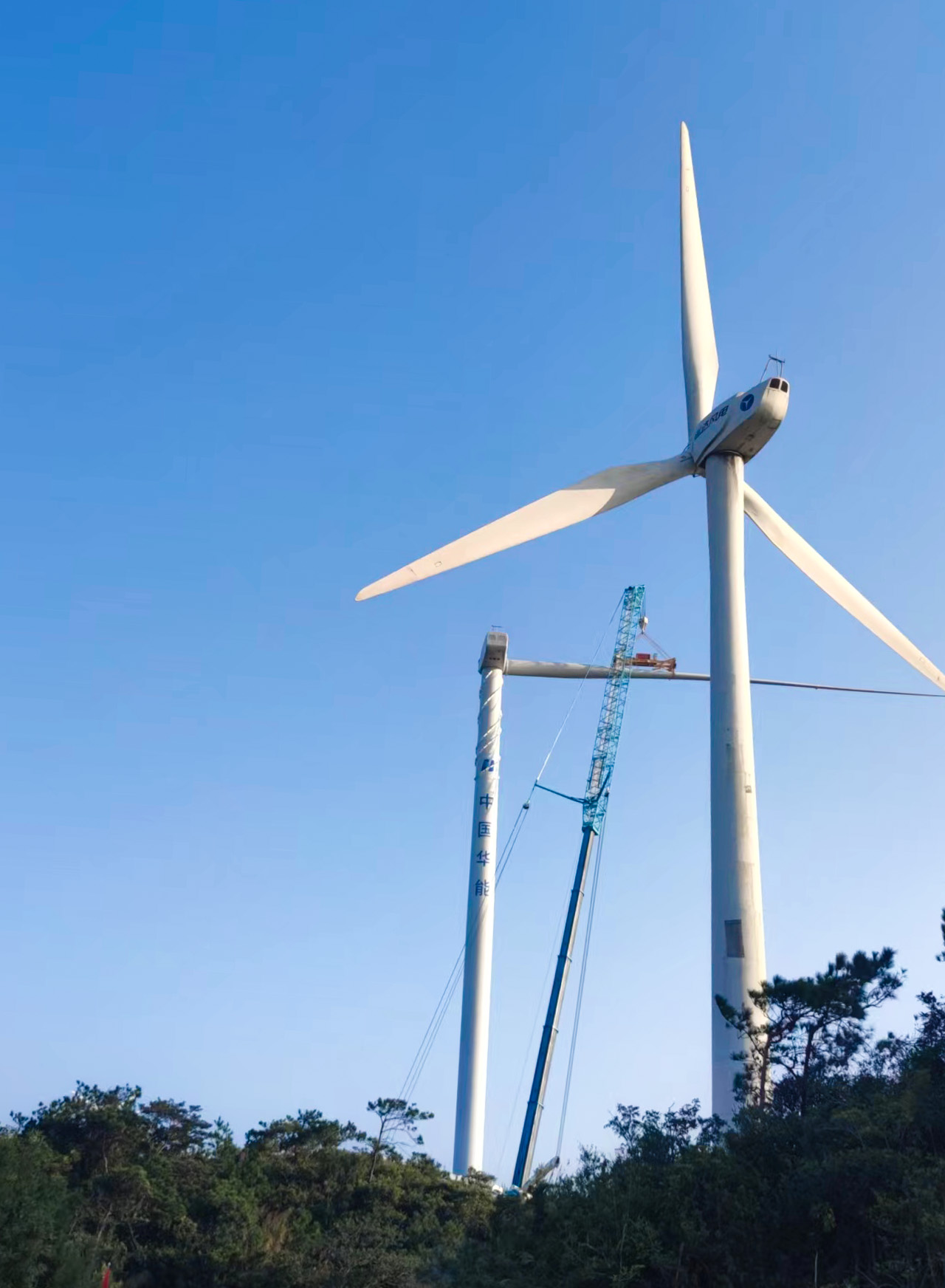 7790必发集团(中国)有限公司官网