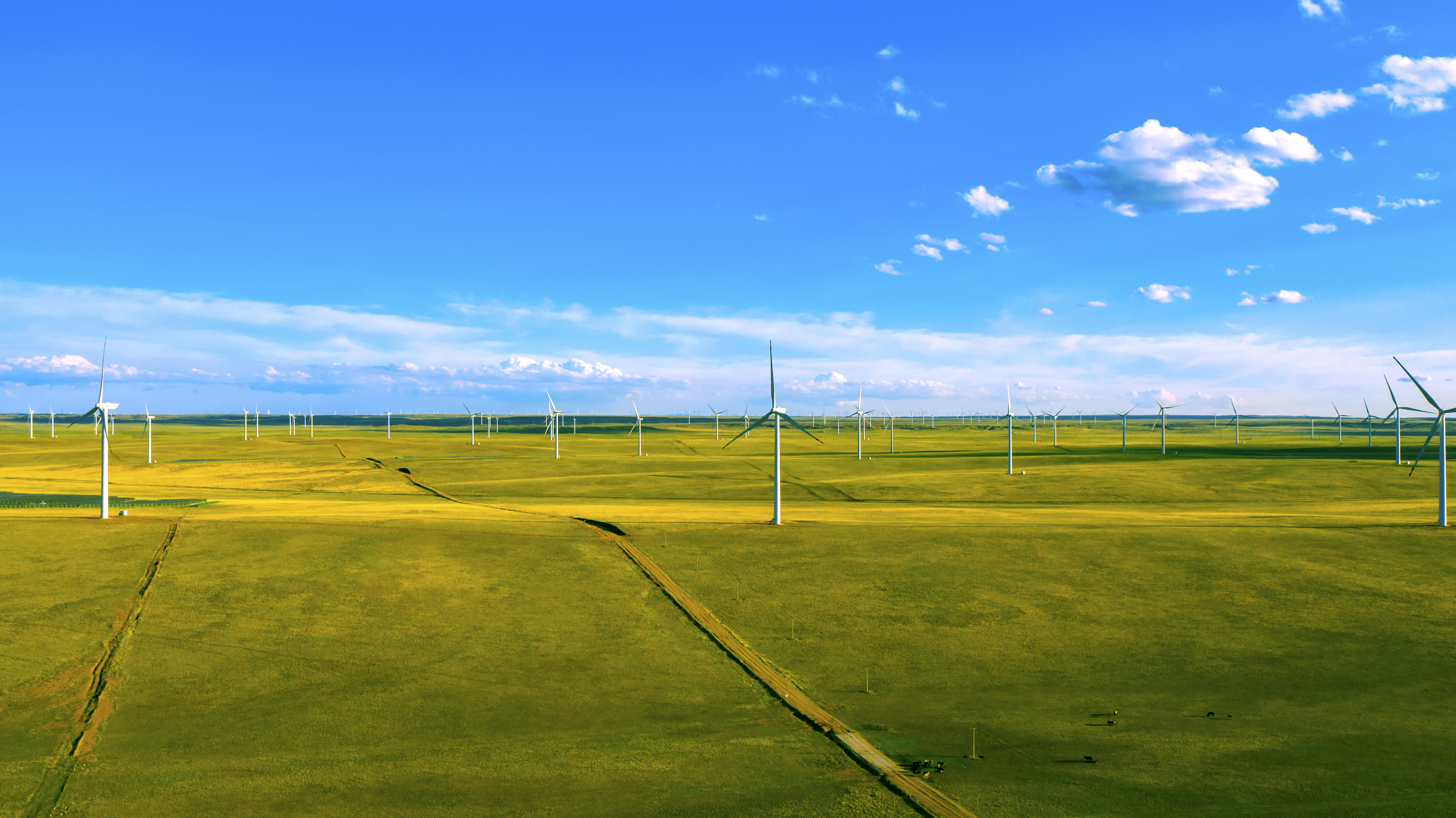 一图读懂 | 7790必发集团股份2023年环境、社会与公司治理（ESG）汇报