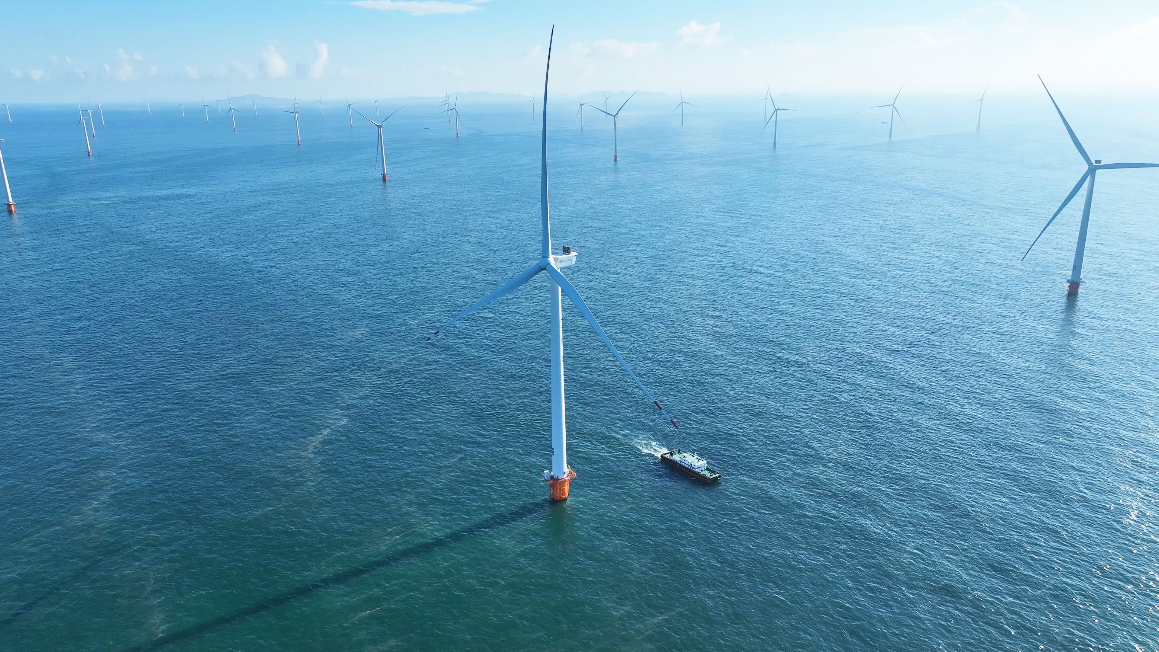 【风向标】添补空缺，7790必发集团牵头两项国度尺度正式颁布